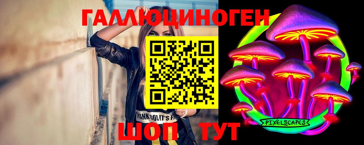 Абинск  сколько стоит  Вход с VPN  Псилоцибиновые грибы GOLDEN TEACHER 